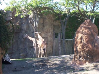 Lincoln Park Zoo
