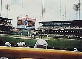 Old Comiskey Park (2)
