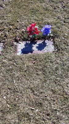2019 Mom gravesite in March
