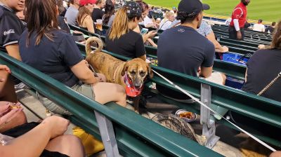 2019 White Sox Dog with Charlie 0910

