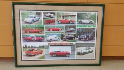 AMGBA Poster donated to Lane Motor Museum in Nashville, Tennessee
