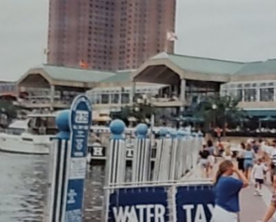 Baltimore Harbor water taxi
