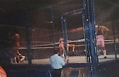 Cage Fighting Show (2)
