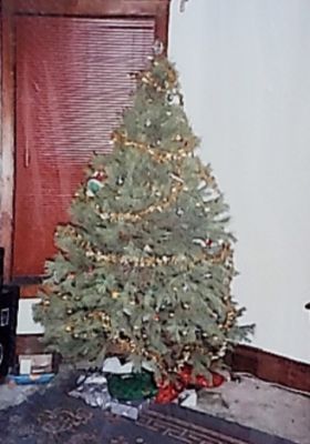 Christmas tree
