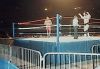 Cage_Fighting_Show_28129.jpg