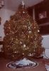 Christmas_Tree_Rienzi_Plaza.jpg