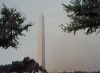 Washington_Monument.jpg